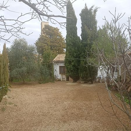 Casa Junto Al Parque Natural De Las Bardenas Sadaba Exterior photo