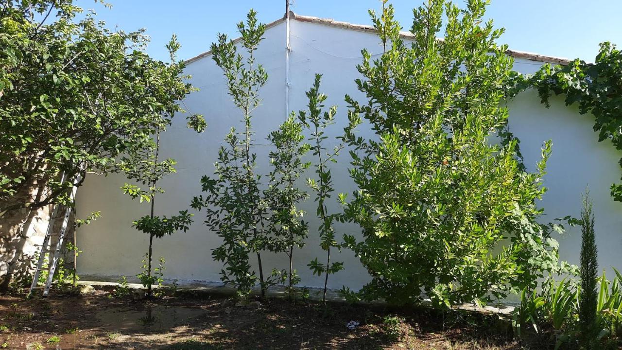 Casa Junto Al Parque Natural De Las Bardenas Sadaba Exterior photo